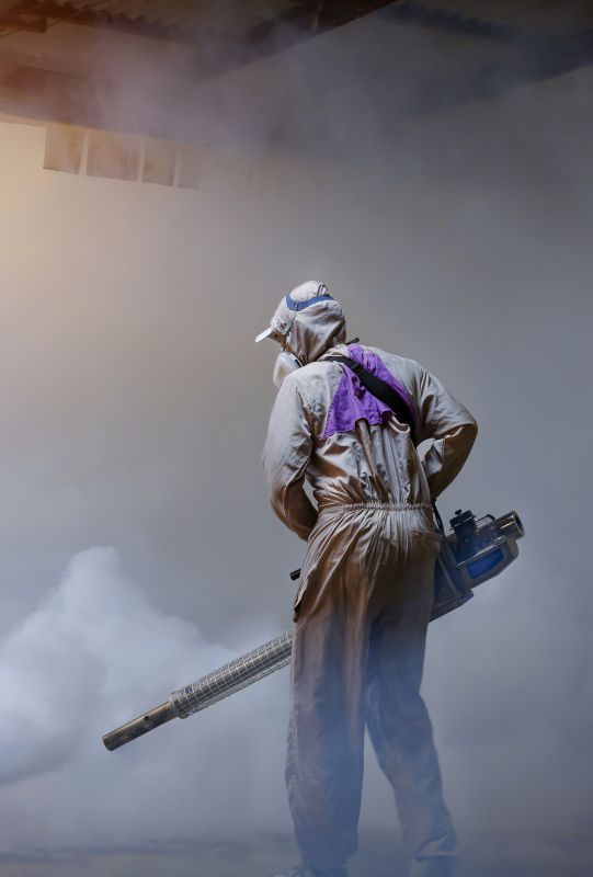 Fumigation Service in Fort Myers, FL