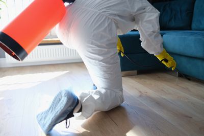Pest Fumigation Service in West Palm Beach, FL