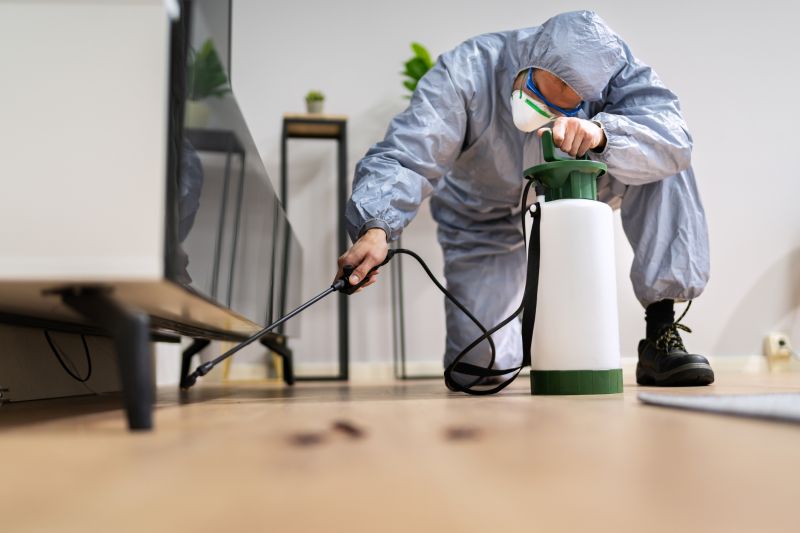 Rat Fumigation Service in Santa Fe, NM